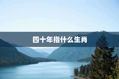 四十年指什么生肖