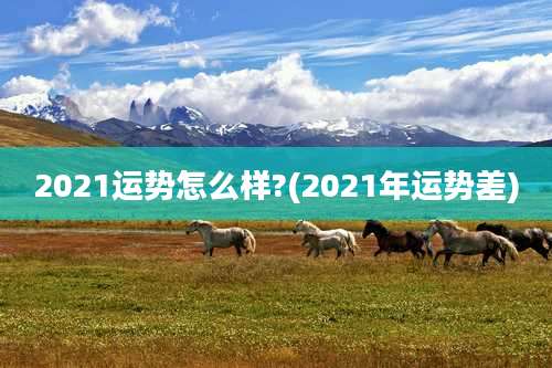 2021运势怎么样?(2021年运势差)