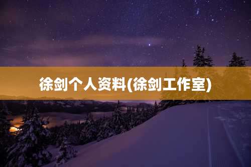 徐剑个人资料(徐剑工作室)