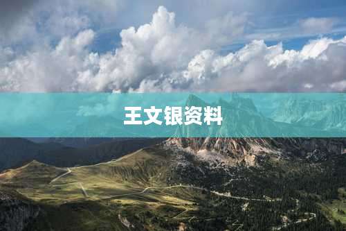 王文银资料