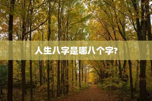 人生八字是哪八个字?