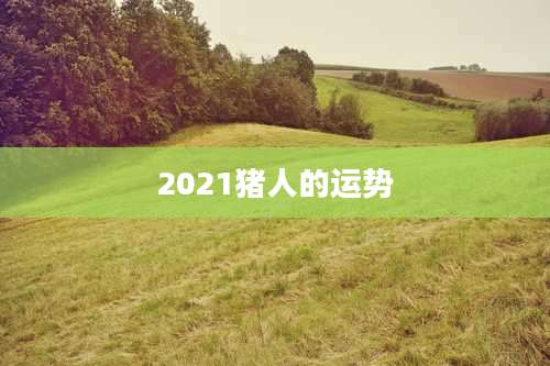 2021猪人的运势