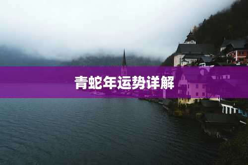 青蛇年运势详解