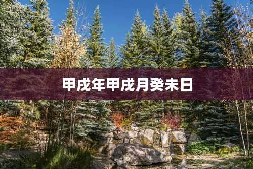 甲戌年甲戌月癸未日