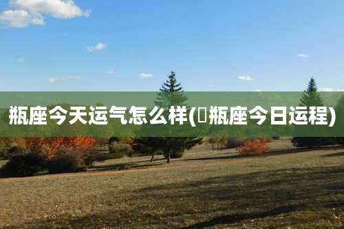 瓶座今天运气怎么样(氷瓶座今日运程)