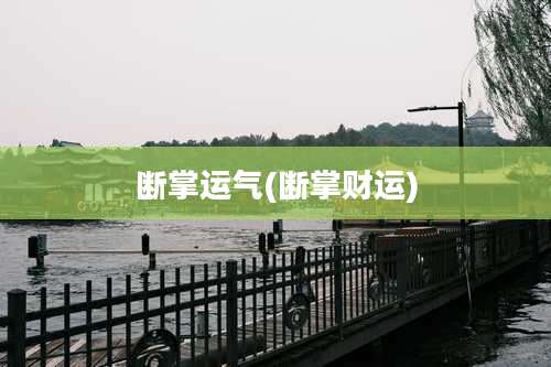 断掌运气(断掌财运)