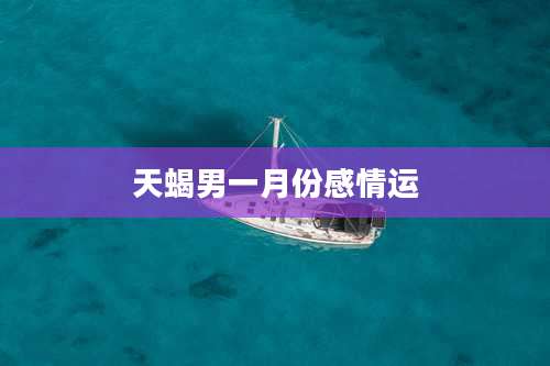 天蝎男一月份感情运