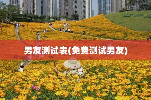 男友测试表(免费测试男友)