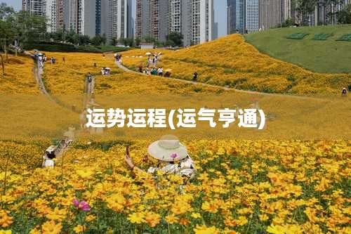 运势运程(运气亨通)