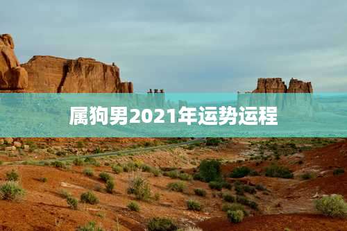 属狗男2021年运势运程