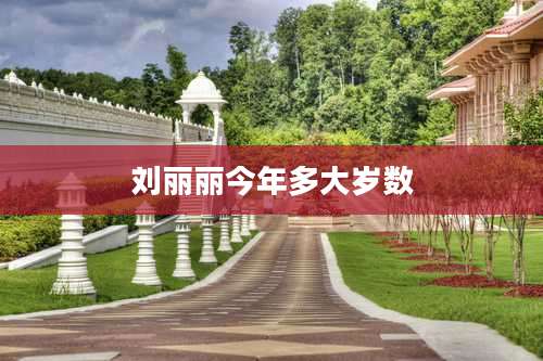 刘丽丽今年多大岁数