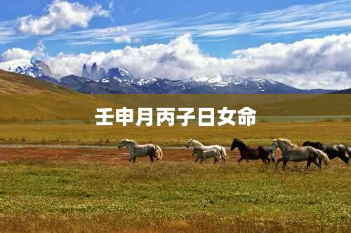 壬申月丙子日女命