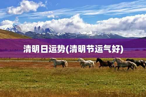 清明日运势(清明节运气好)