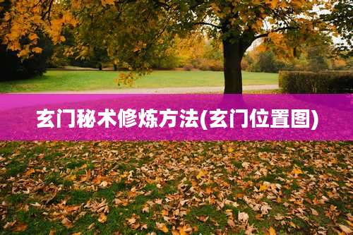 玄门秘术修炼方法(玄门位置图)