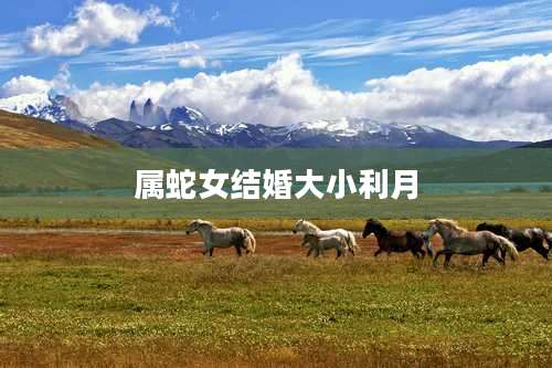 属蛇女结婚大小利月