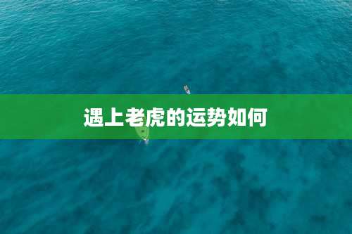 遇上老虎的运势如何