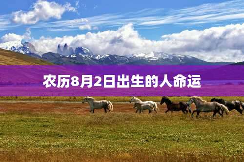 农历8月2日出生的人命运
