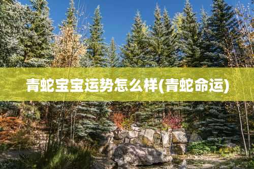 青蛇宝宝运势怎么样(青蛇命运)