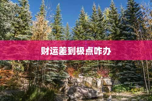 财运差到极点咋办