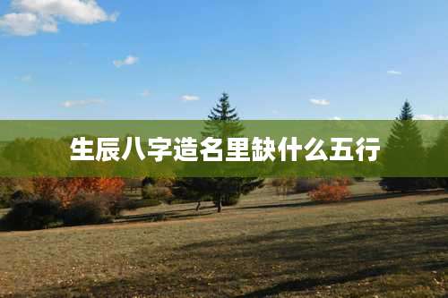 生辰八字造名里缺什么五行