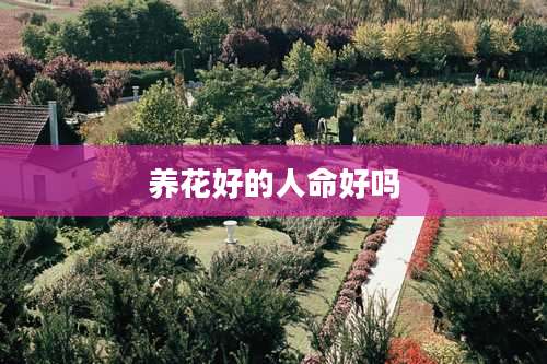 养花好的人命好吗