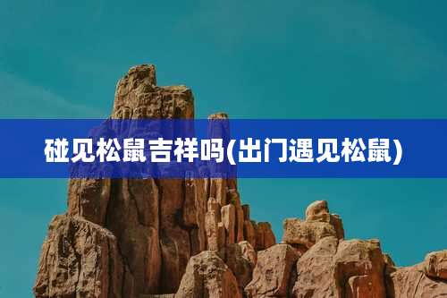 碰见松鼠吉祥吗(出门遇见松鼠)