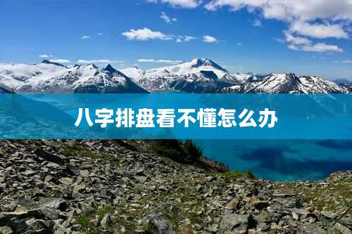 八字排盘看不懂怎么办