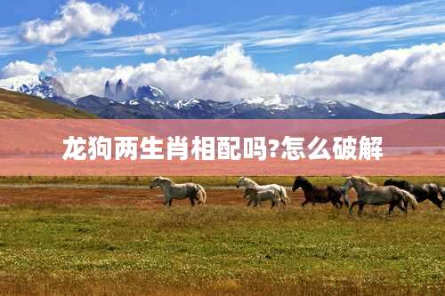 龙狗两生肖相配吗?怎么破解