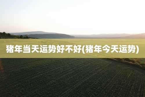 猪年当天运势好不好(猪年今天运势)
