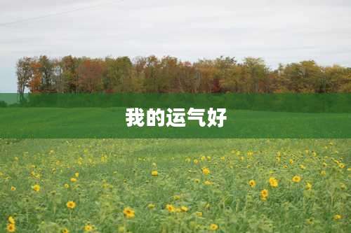 我的运气好