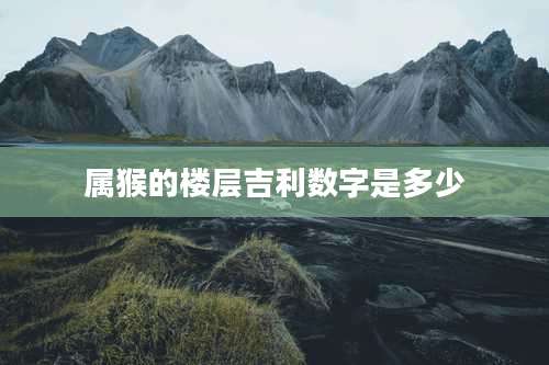 属猴的楼层吉利数字是多少