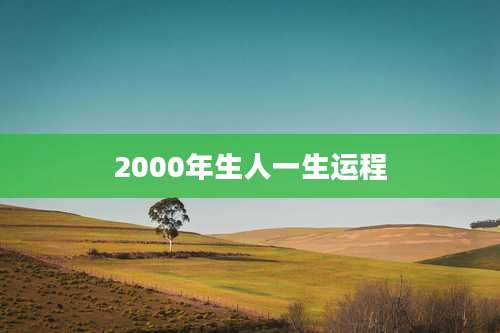 2000年生人一生运程