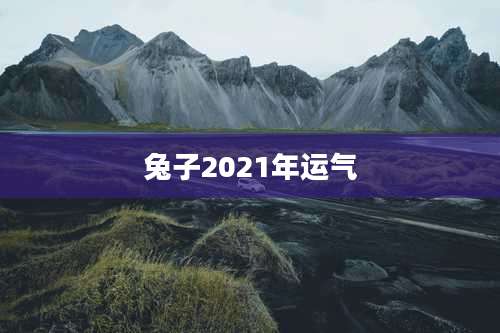 兔子2021年运气