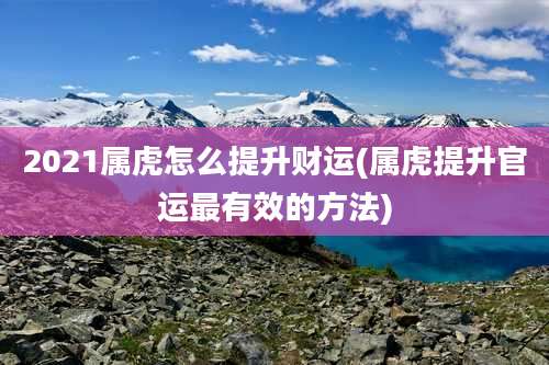 2021属虎怎么提升财运(属虎提升官运最有效的方法)