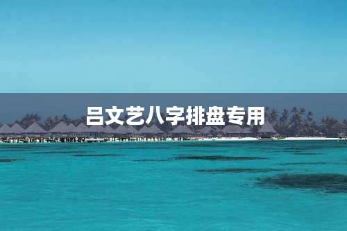 吕文艺八字排盘专用