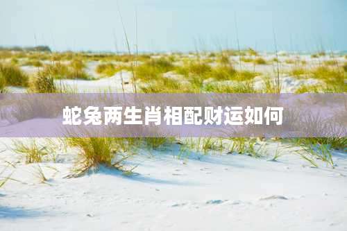 蛇兔两生肖相配财运如何