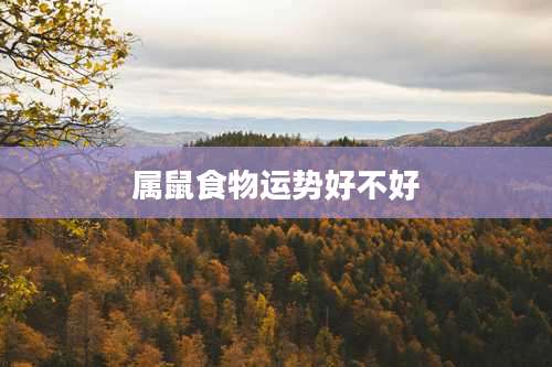 属鼠食物运势好不好
