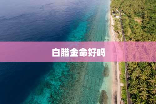 白腊金命好吗