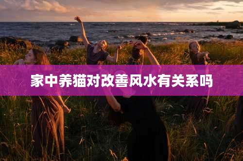 家中养猫对改善风水有关系吗