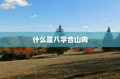 什么是八字合山向