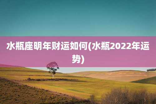 水瓶座明年财运如何(水瓶2022年运势)