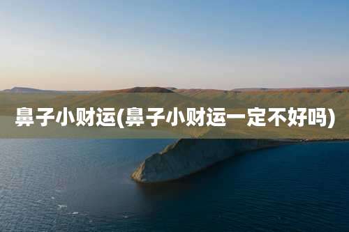 鼻子小财运(鼻子小财运一定不好吗)
