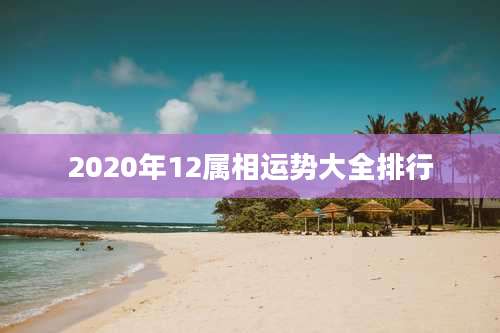 2020年12属相运势大全排行