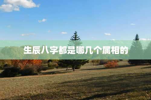 生辰八字都是哪几个属相的