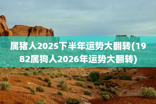 属猪人2025下半年运势大翻转(1982属狗人2026年运势大翻转)