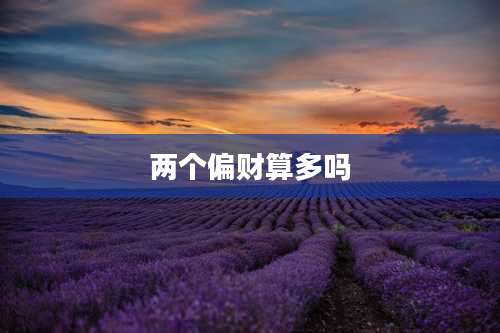 两个偏财算多吗