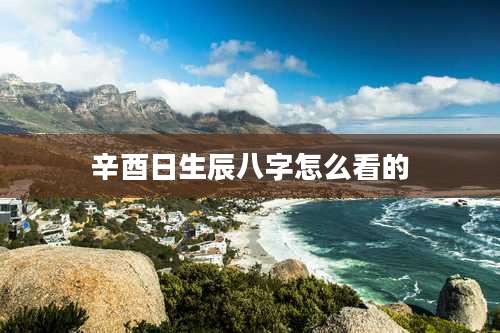 辛酉日生辰八字怎么看的