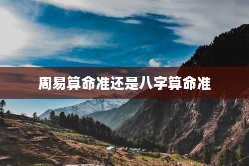 周易算命准还是八字算命准