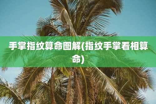 手掌指纹算命图解(指纹手掌看相算命)