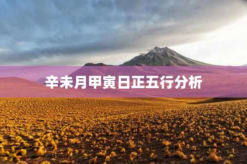 辛未月甲寅日正五行分析